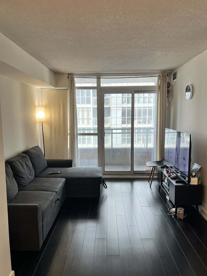 10 Capreol Court #717 - Photo 3 of 11