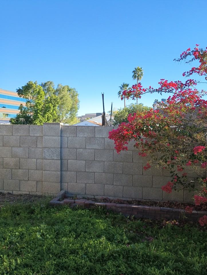 6913 E Kathleen Rd #NA - Photo 3 of 31