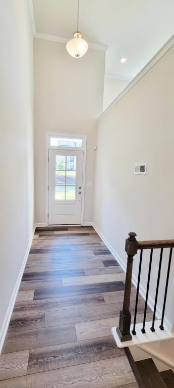 1295 Herb Garden Way - Photo 3 of 19