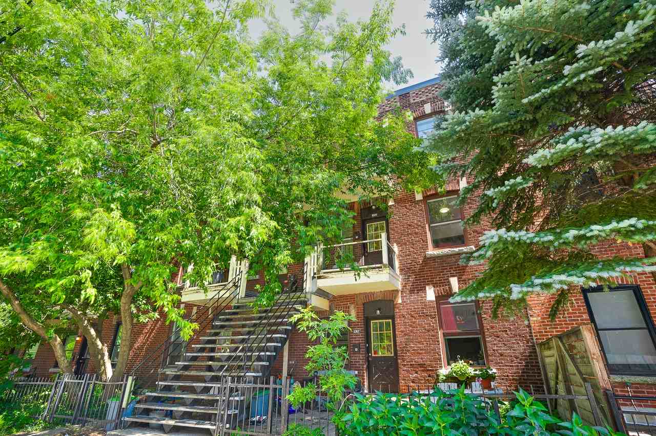 6369 Rue Saint-Dominique - Photo 5 of 31