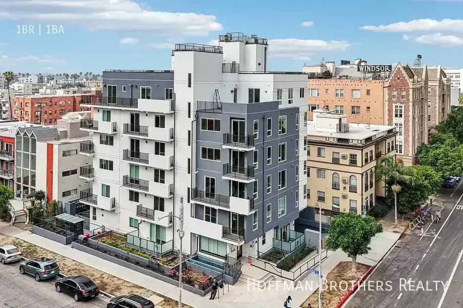 707 S Berendo St #203 - Photo 6 of 45