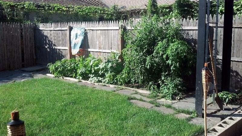 247 Grove St #1 - Photo 7 of 13