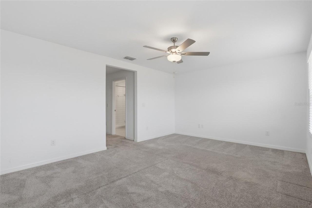 32127 Powderpuff Mimosa Dr - Photo 4 of 30