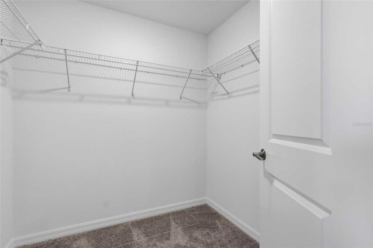 32127 Powderpuff Mimosa Dr - Photo 5 of 30