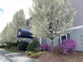 99 Eastern Ave #202 - Photo 1 of 1