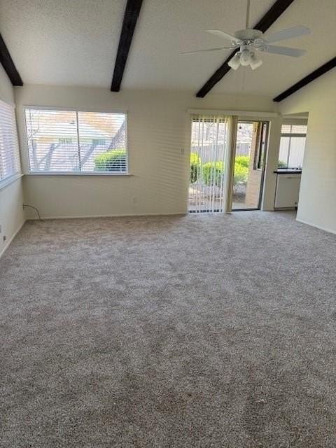 3517 Cotillion Dr - Photo 2 of 18