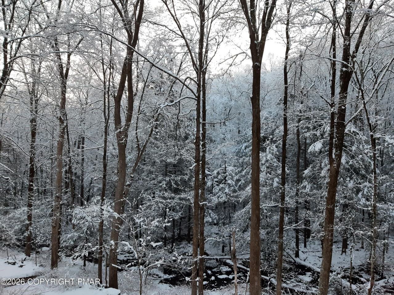 170 Eagle Pass - Photo 5 of 7