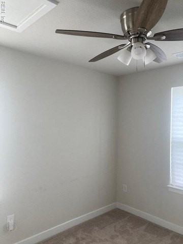 291 Goldenstar Ln - Photo 6 of 12