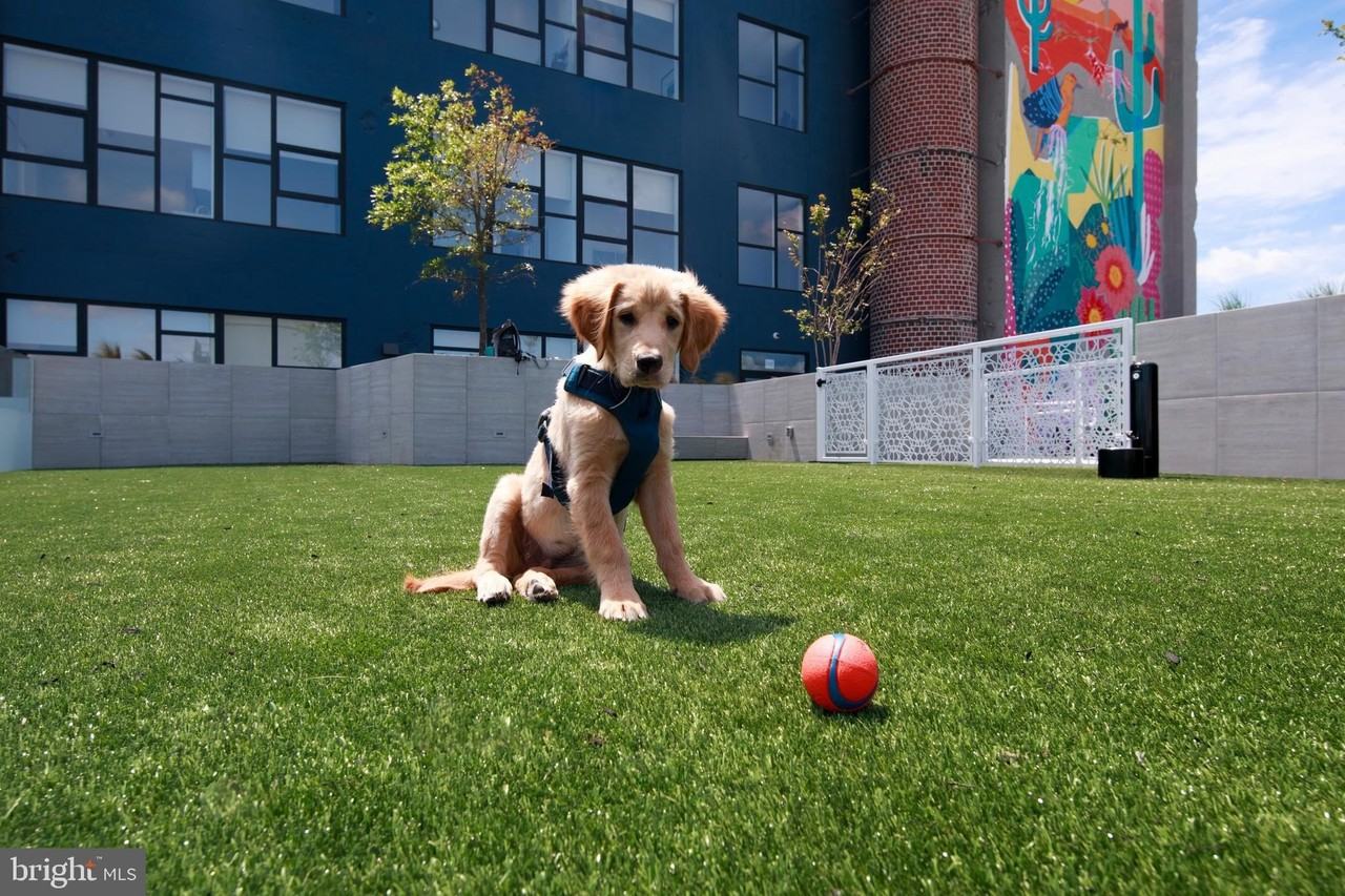 815 Poplar St Unit D - Photo 6 of 15