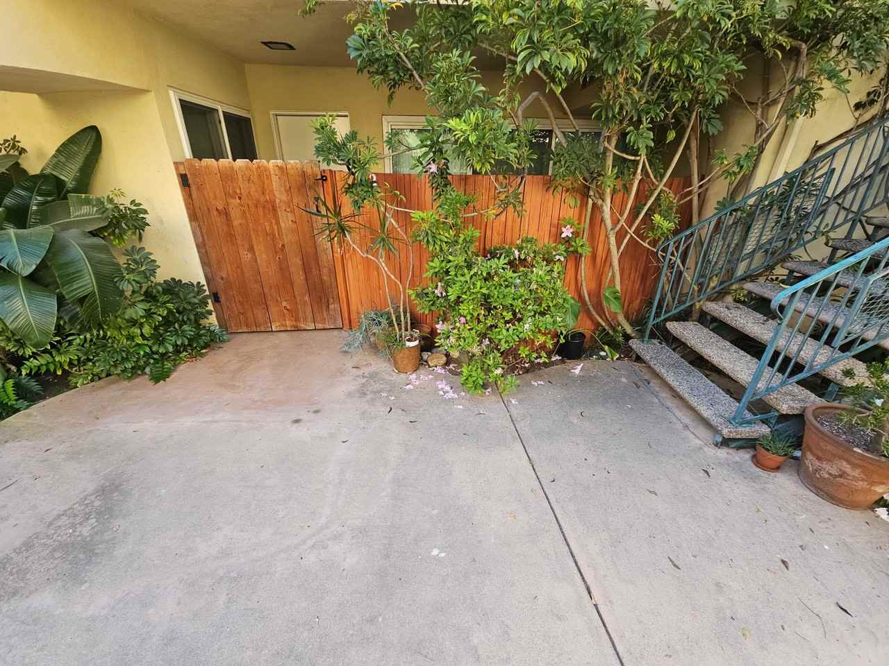 Saint Bernard St - Photo 6 of 43