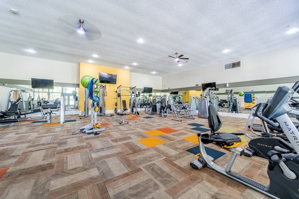 Sono Tempe - Photo 3 of 21