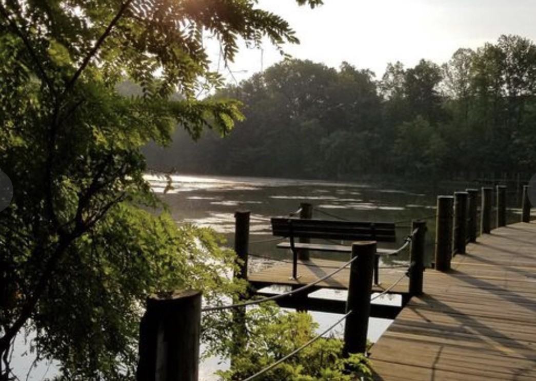 8951 Town Center Cir #202 - Photo 5 of 32