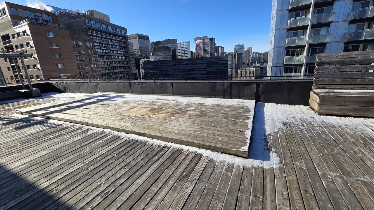 3433 Durocher - Photo 7 of 25