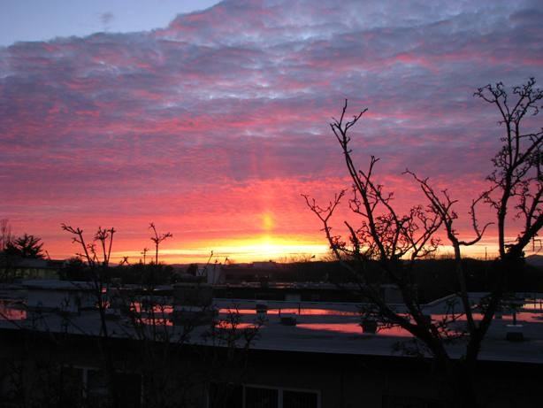 Royal Esquimalt Apartments - Photo 4 of 4