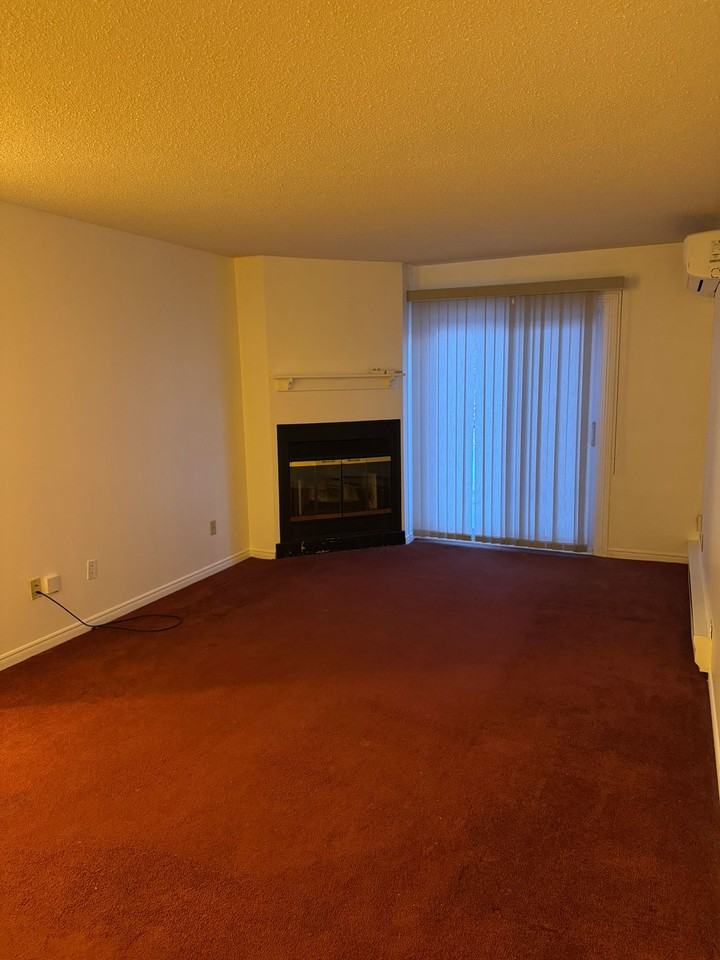 221 North Park Street #2nd Floor - Photo 3 of 19