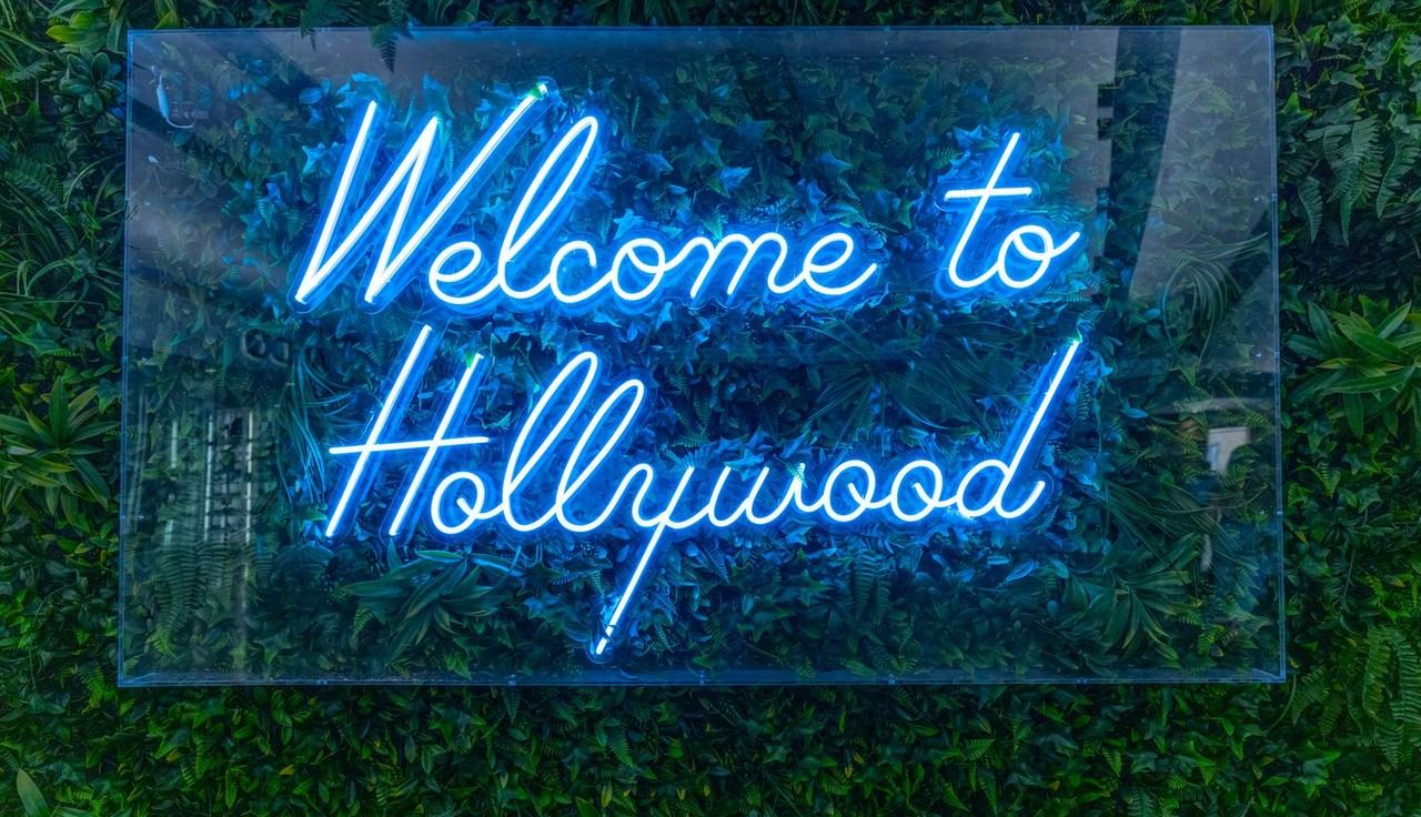 The Amor - Photo 7 of 18