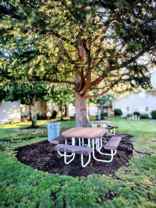 #330 AUTUMN CHASE - Photo 1 of 1