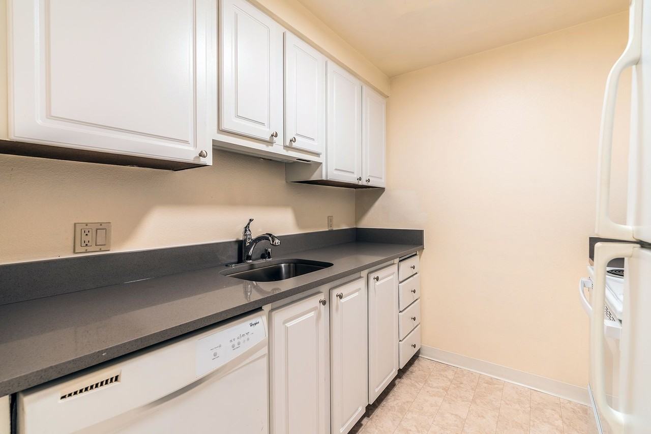 Urban Oasis! - Photo 5 of 15