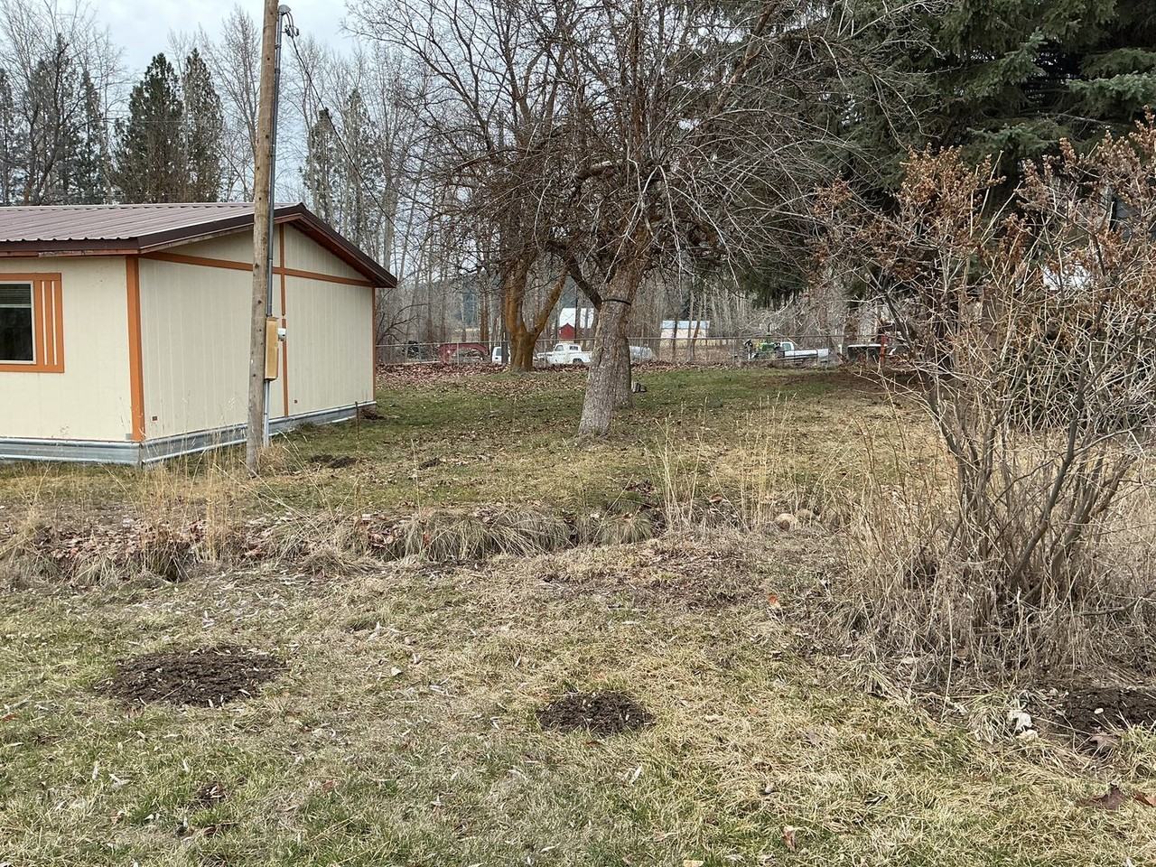 46244 Rock Creek Town Rd - Photo 5 of 50