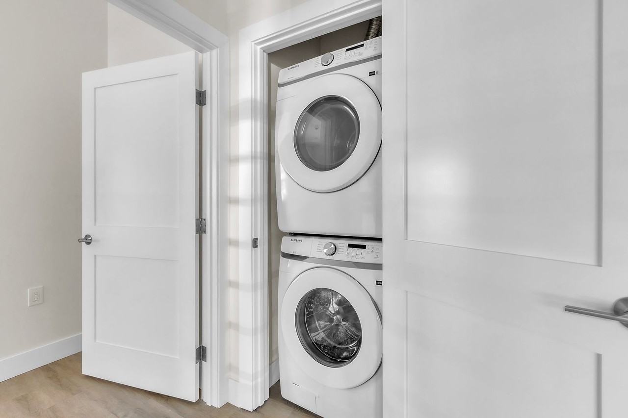 The Nelly - Photo 6 of 37