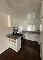 Seville Apts  1117 - Photo 1 of 1