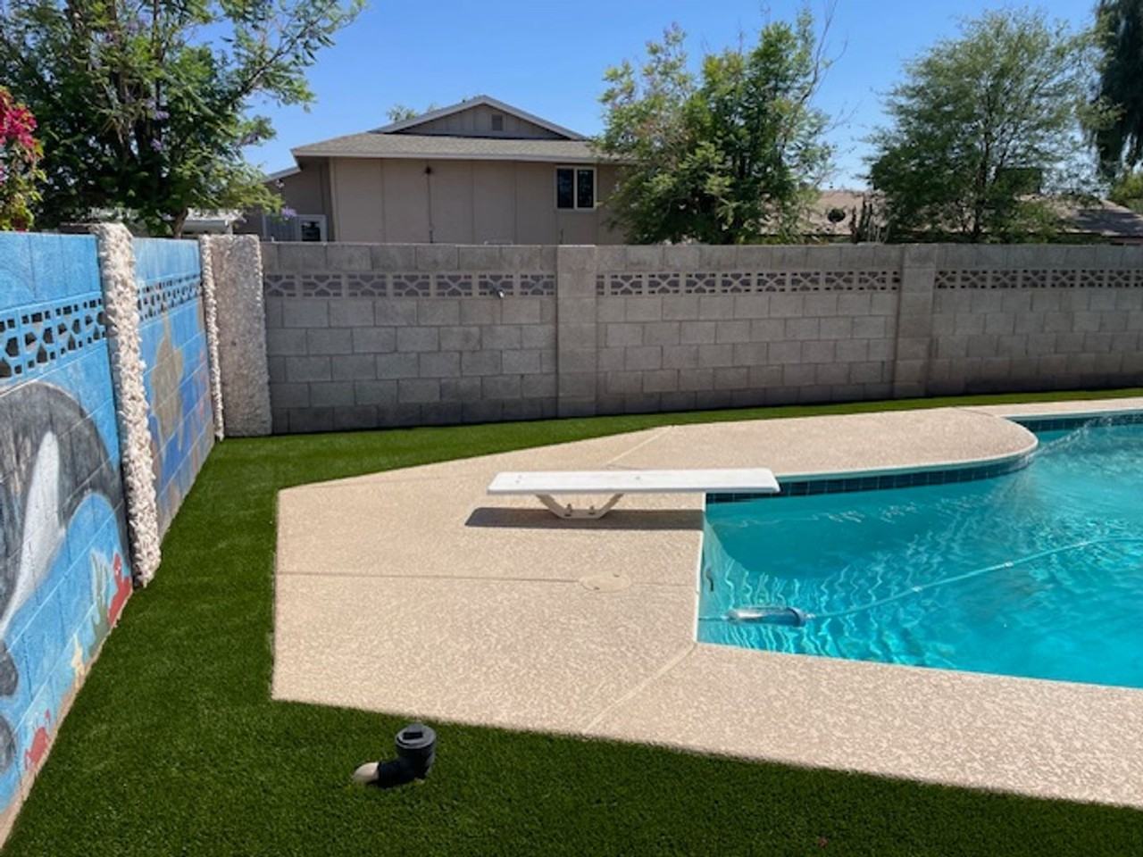 1633 E La Jolla Dr - Photo 5 of 33