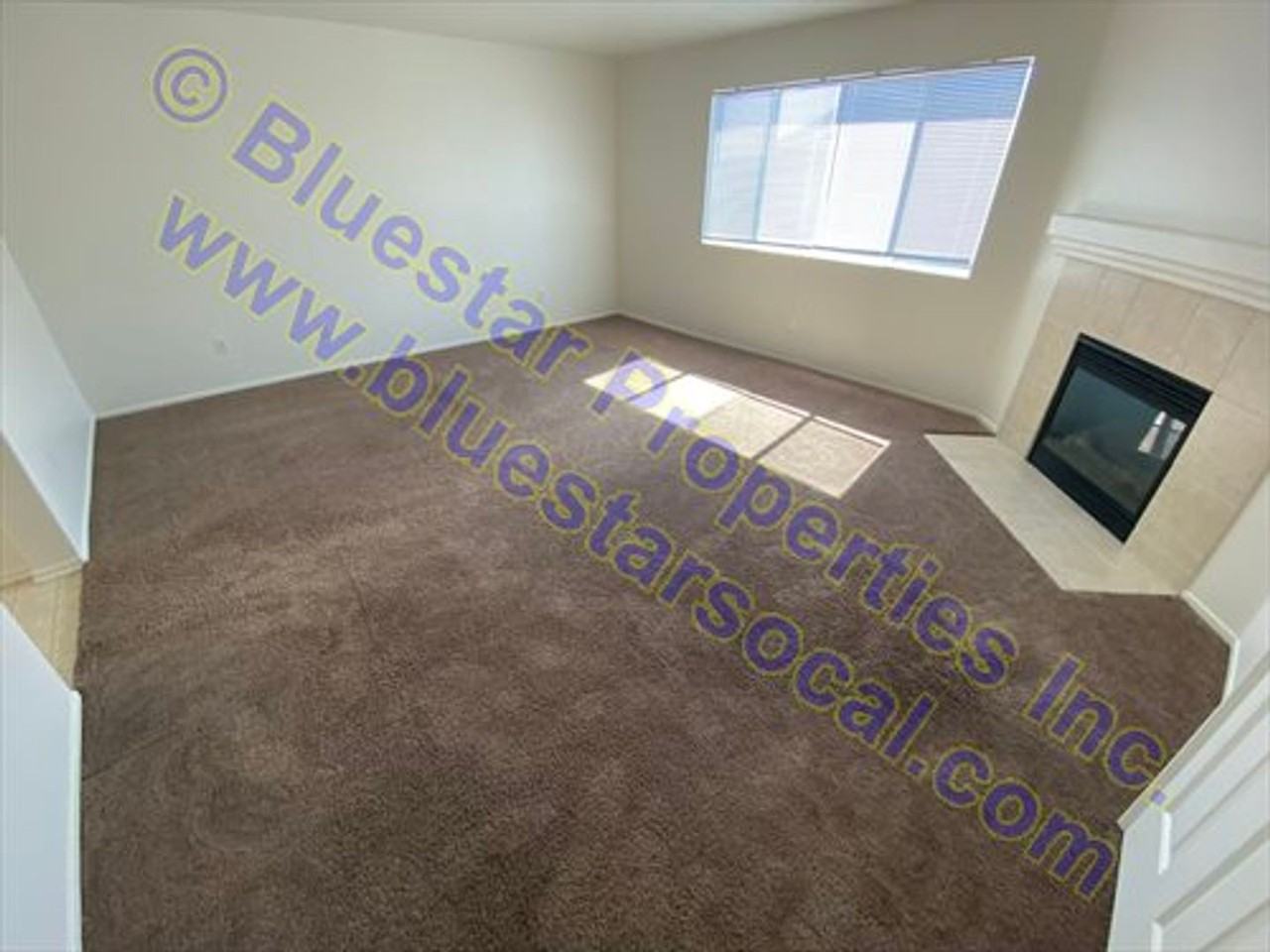 13337 Fern Hollow Way - Photo 4 of 34