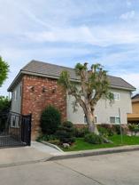 The Green Fam.Tr.-Ensign - Photo 1 of 1