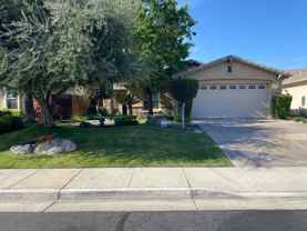 11826 Grecian Laurel Dr - Photo 1 of 1