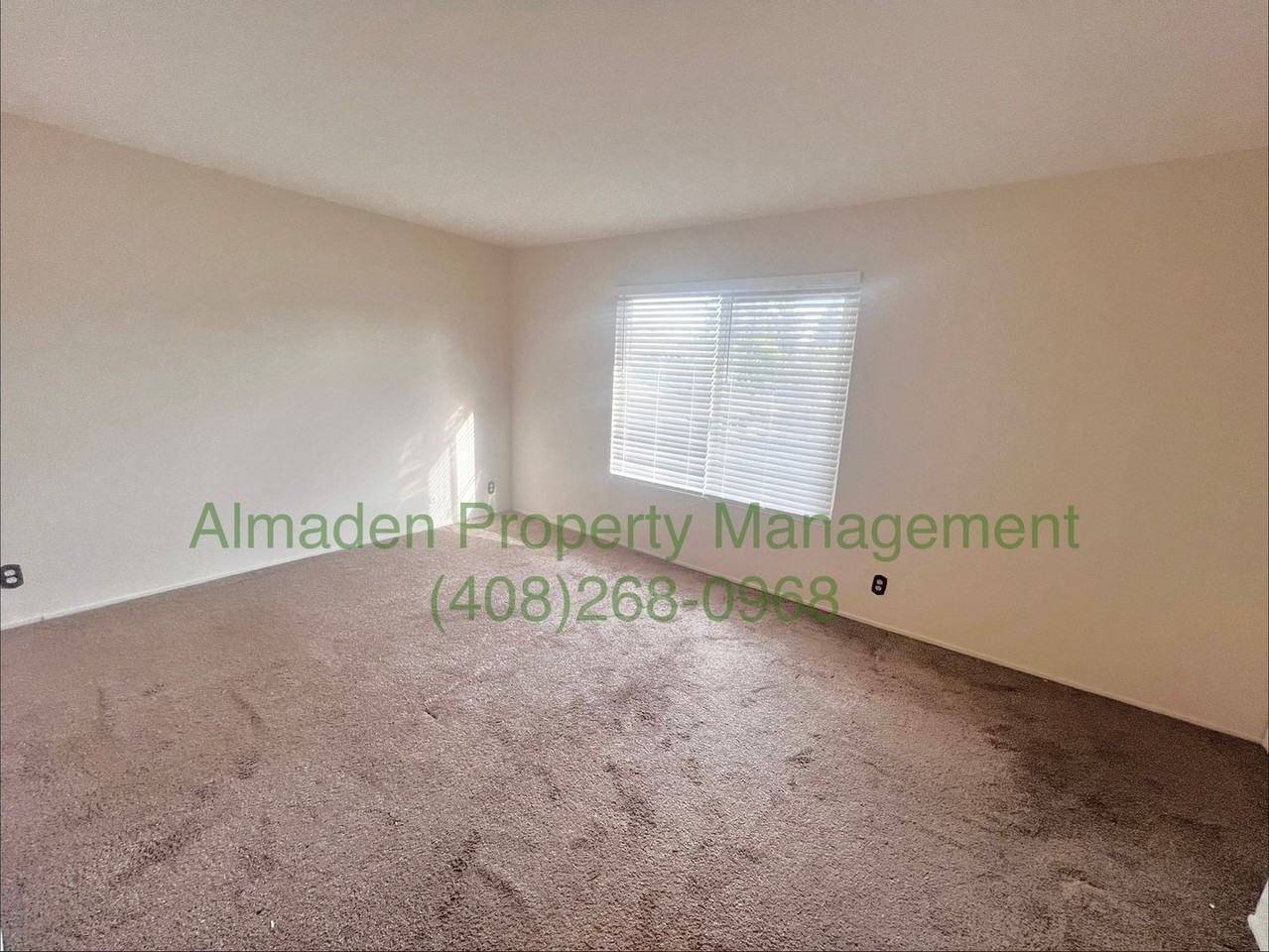 378 Don Basillo Way - Photo 7 of 12