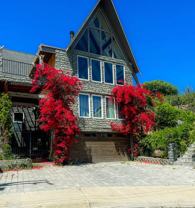 1620 Cliffdale Rd - Photo 1 of 1