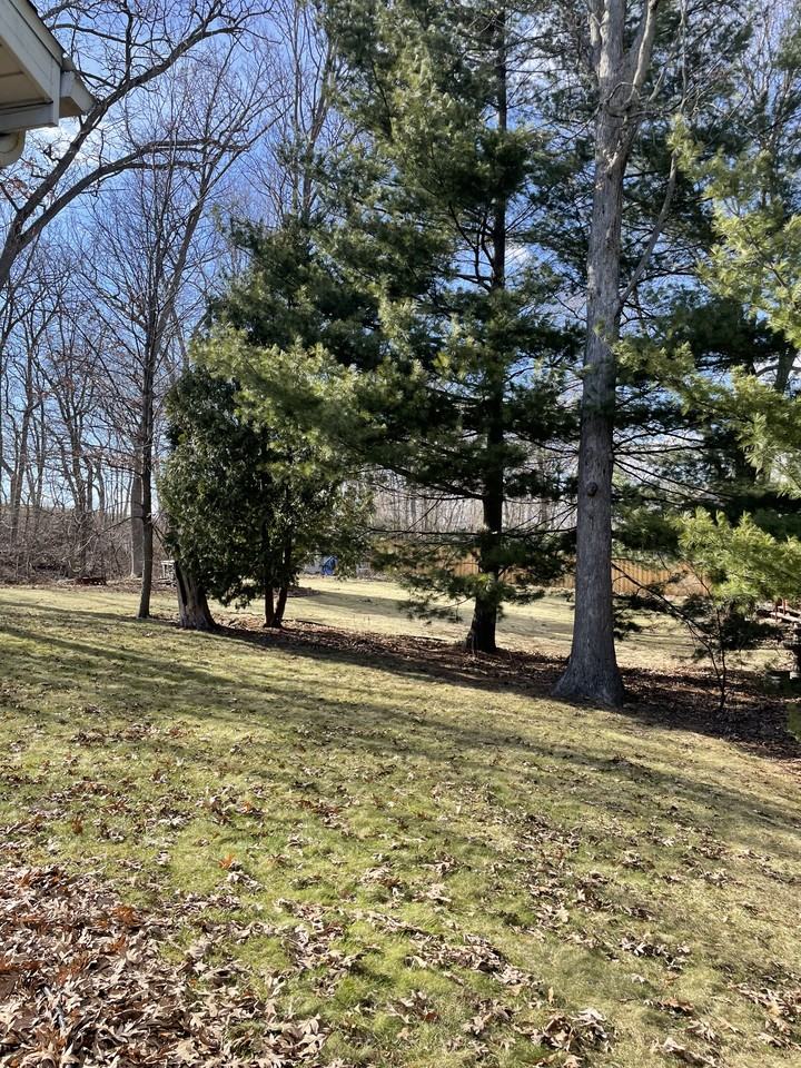 4111 Tanglewood Dr #4111 - Photo 2 of 7