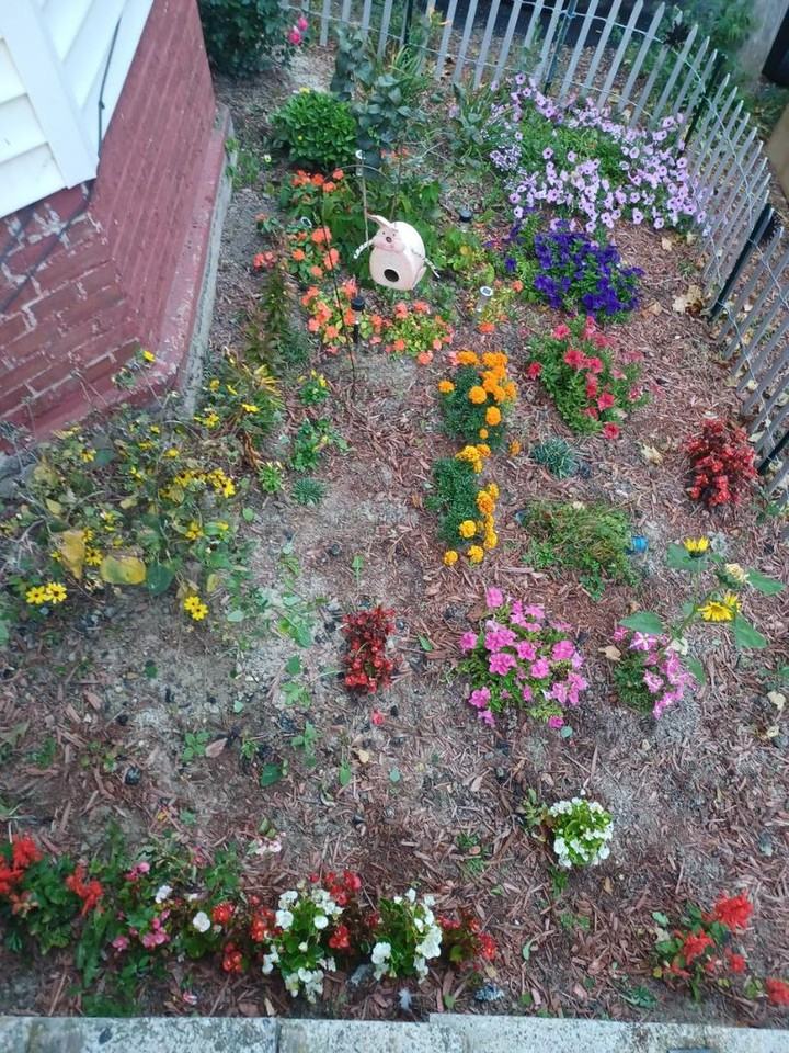 204 Blake St - Photo 7 of 16