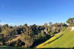 Shh....Clairemont's Best kept SECRET! - Photo 1 of 1