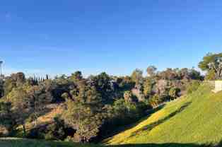 Shh....Clairemont's Best kept SECRET! - Photo 1 of 1