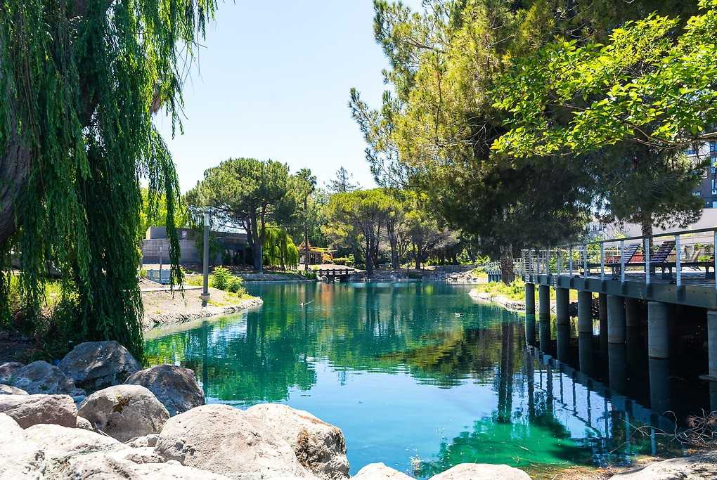 1250 Lakeside - Photo 4 of 50