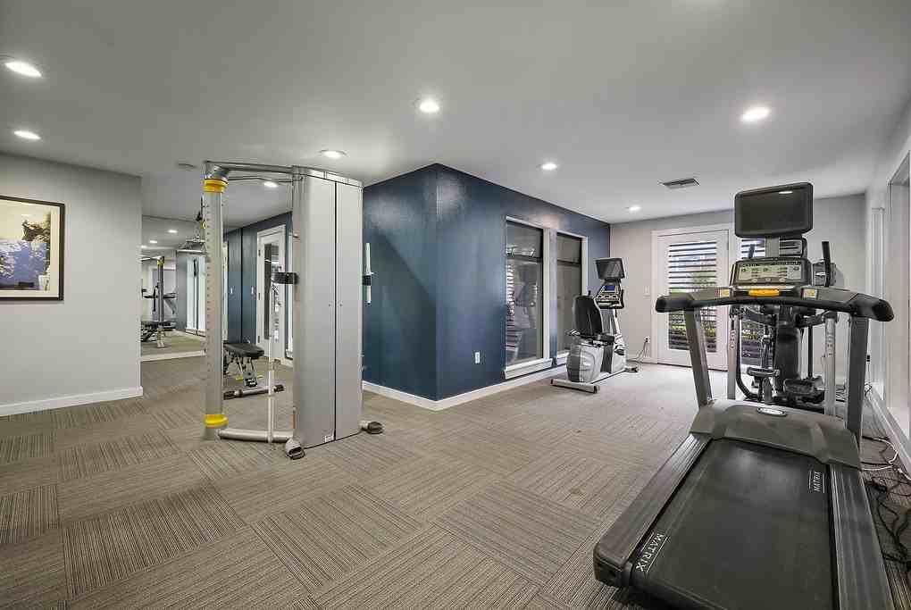 Ascent - Photo 2 of 28