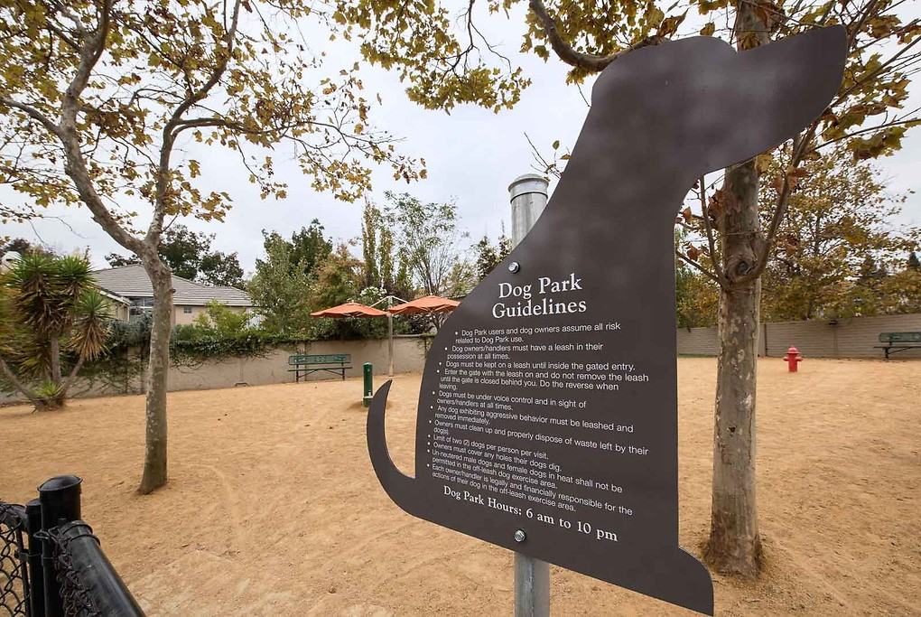 Bel Air - Photo 7 of 50