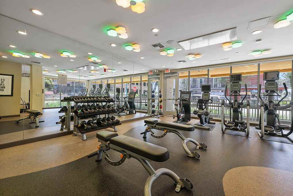 Emme - Photo 5 of 50