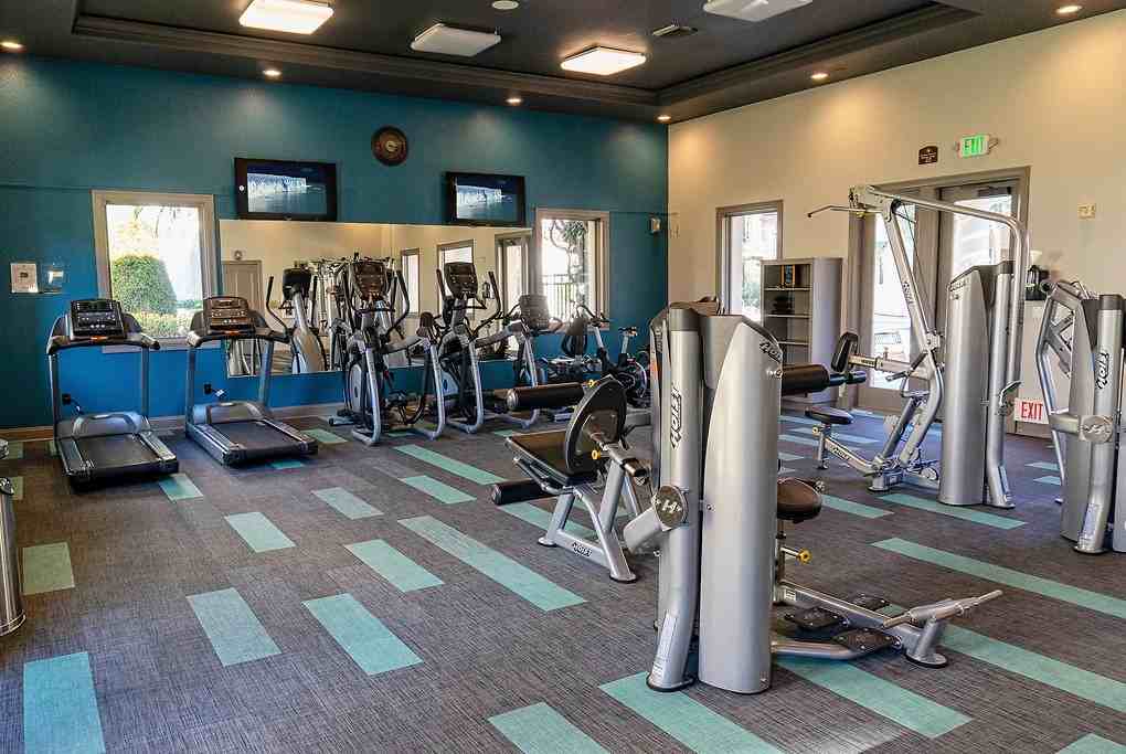 Palma Sorrento at Palm Valley - Photo 4 of 37