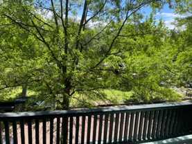 Wayne - Photo 1 of 1