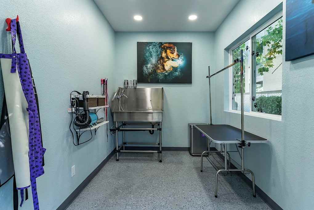 Willow Lake - Photo 5 of 53