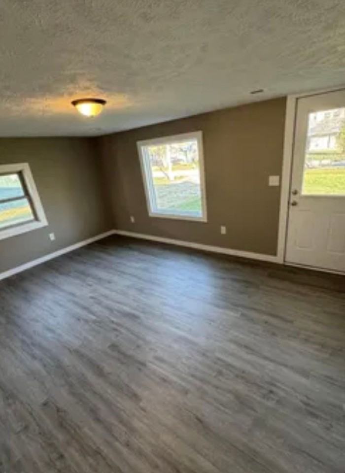 203 S Division St - Photo 5 of 21