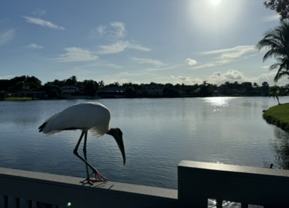 17634 Lake Park Rd #NA - Photo 1 of 1