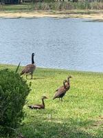 featured image of 681 Midway Dr #A