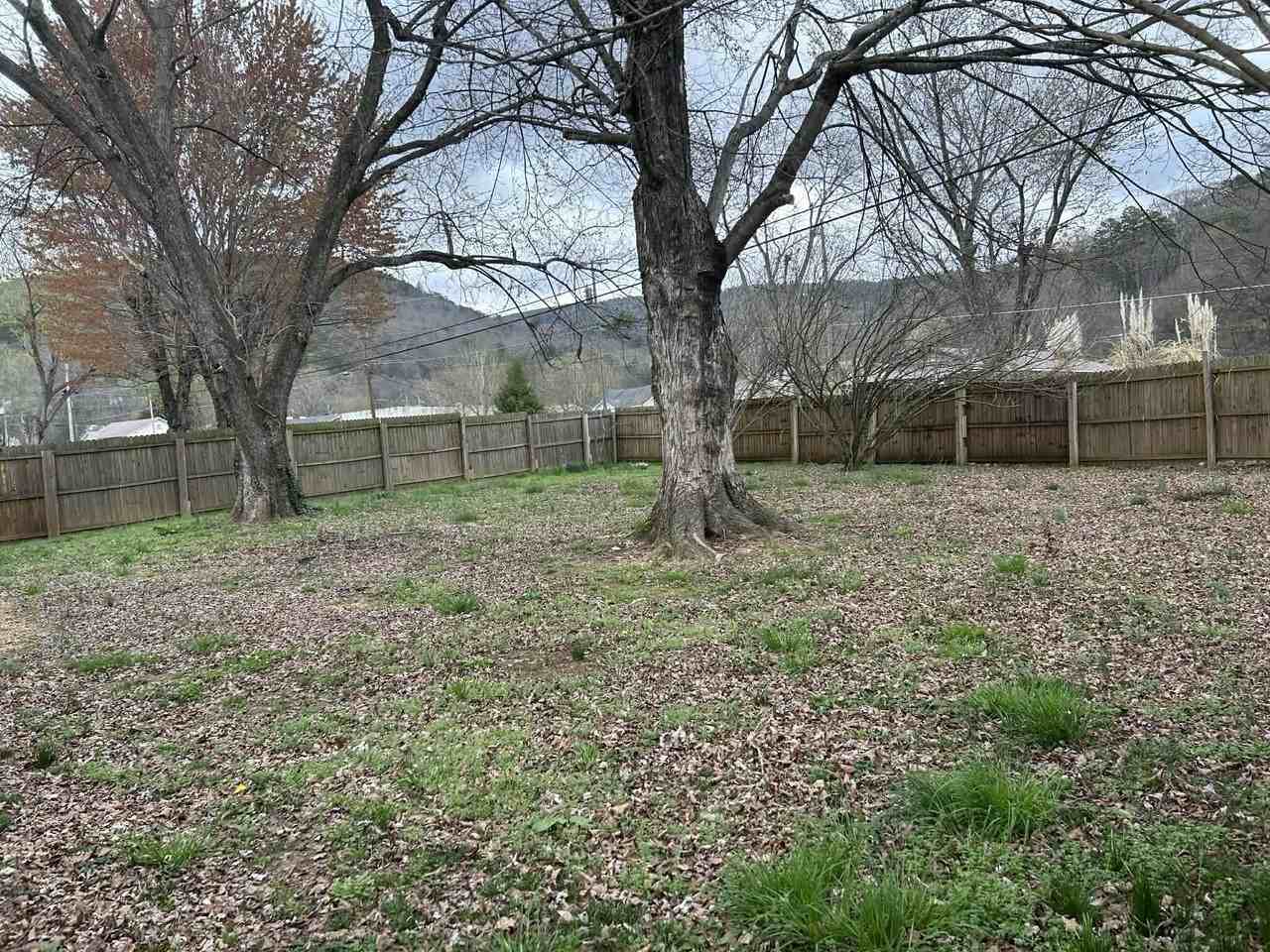 166 Hales Bar Rd - Photo 7 of 12