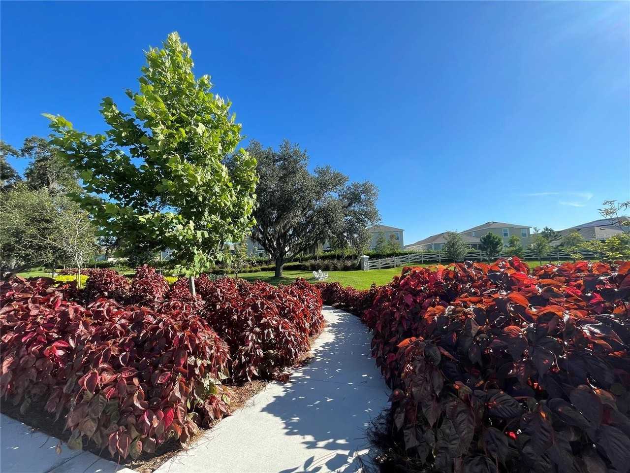 3417 Amber Waves Dr - Photo 7 of 35