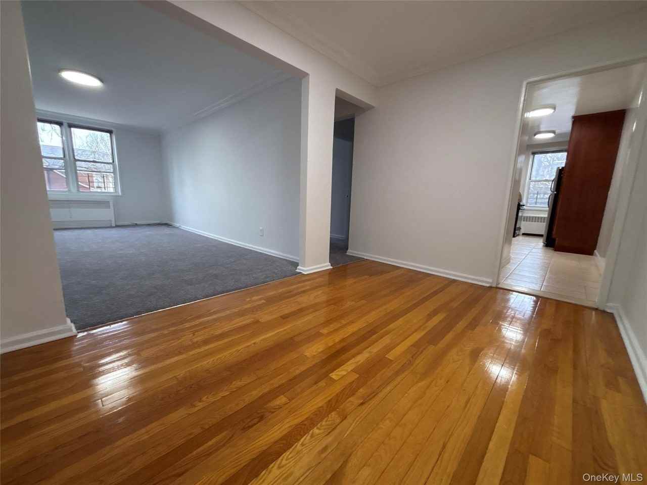 50 S Middle Neck Rd Apt 1p - Photo 3 of 22