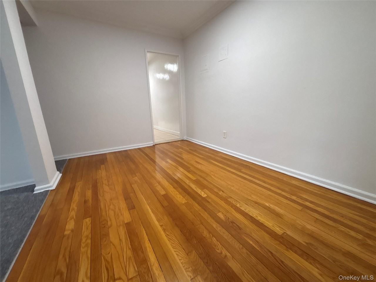 50 S Middle Neck Rd Apt 1p - Photo 4 of 22