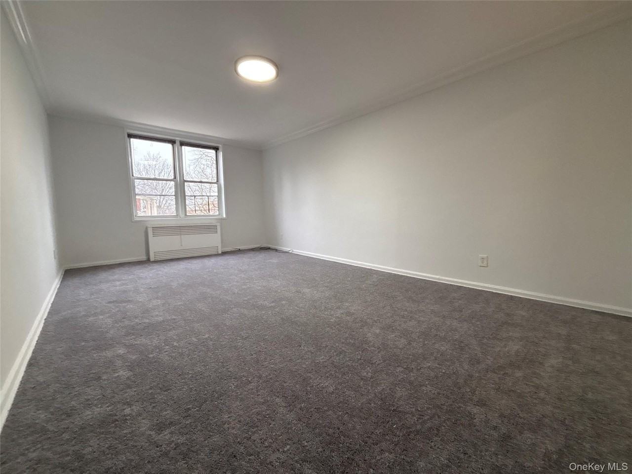 50 S Middle Neck Rd Apt 1p - Photo 6 of 22